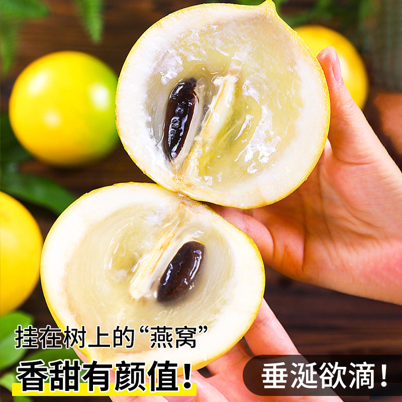 黄晶果新鲜正宗冬蜜鲜果四季黄宝石大果高山特产高端牛奶果黄晶果