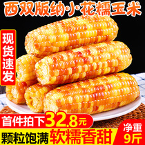 West Double Version Na Little Flower Glutinous Corn 9 Catty Fresh When Season Sweet Glutinous Small Corn Vacuum Ready-to-eat Cereal 5