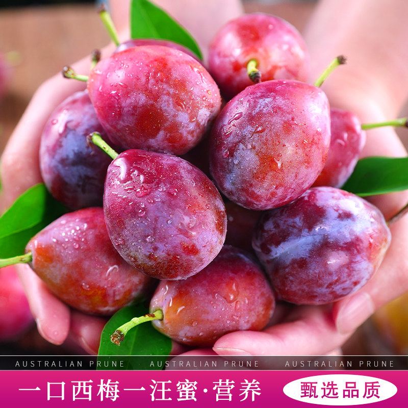 澳洲进口西梅5斤新鲜应当季水果甜蜜李子孕妇宝宝黑布林顺丰包邮,淘宝优惠券,粉丝福利购,淘宝优惠卷