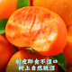 Yangfeng Crisp Sweet Persimmon! Seedless Rock Candy Heart~