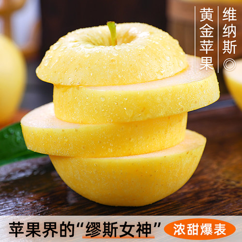 黄金维纳斯苹果正宗山东烟台新鲜平果当季水果奶油富士金帅冰糖心 - 图0