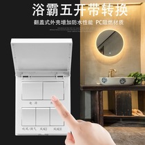 Bath Bully Switch Universal Lamp Warm Waterproof 86 Type Panel With Lid 4 Open Home Bathroom 5 Five All-in-one Toilet Switch