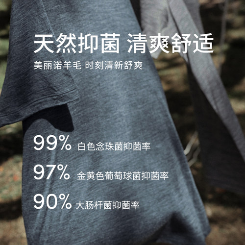 icebreaker可机洗美利奴羊毛男200 Oasis长袖T恤透气户外徒步跑步 - 图0
