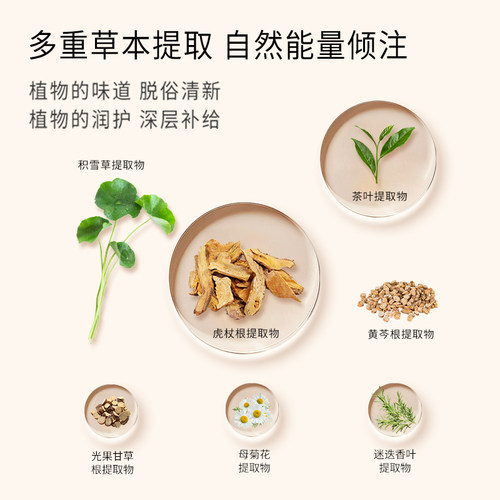 正安国货铺 艾叶草本精华沐浴露植萃温和清洁滋润不假滑全家可用 - 图3