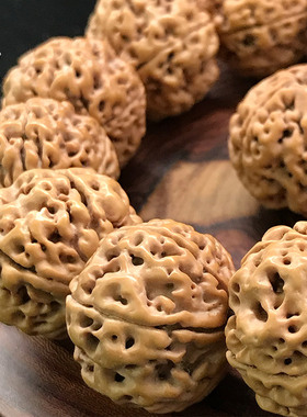 金诗文玩尼泊尔五星大金刚菩提子