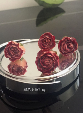 滴胶永生花树脂耳环手工饰品配件