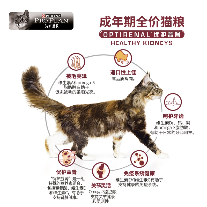 【全价猫粮】冠能猫粮银渐层英短布偶成猫鸡肉粮增肥营养官网正品 - 图2