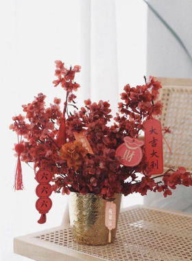 迎客豆永生花迎宵花蝴蝶花干花花束新年婚庆客厅装饰永生花批发