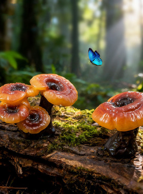 苔藓微景观简约仿真野生灵芝园艺造景 DIY装饰品迷你生态瓶小摆件