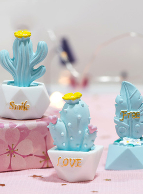 少女心多肉植物仙人掌树脂工艺品