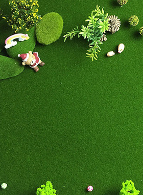 仿真假草皮微景观园艺装饰摄影道具创意植物造景假草坪30cm假白发