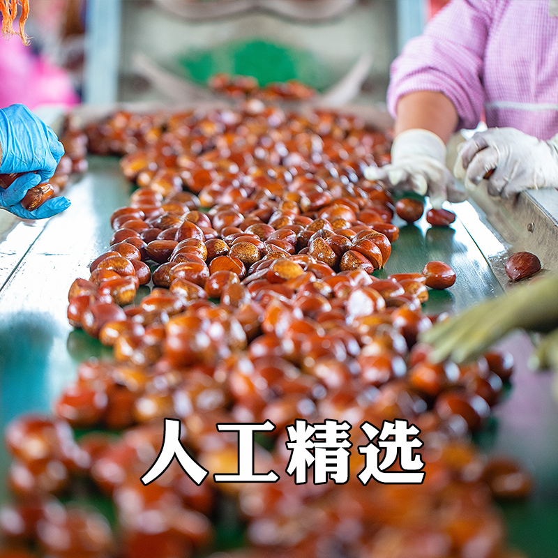 现货2020新鲜东北大板栗5斤装 丹东野生生栗子毛栗油栗带壳栗子 - 图3