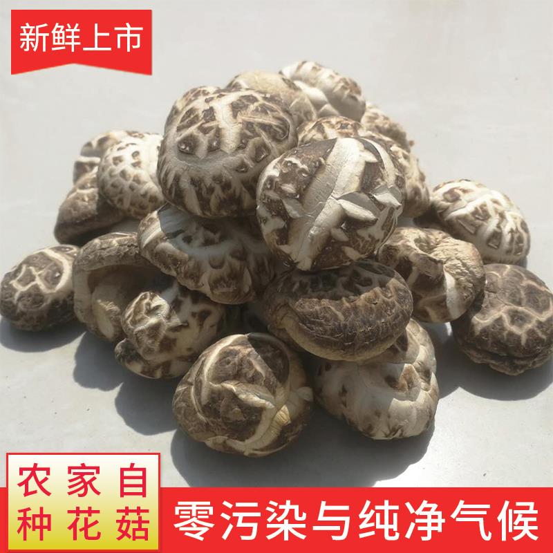 随州小花菇500g包邮干货蘑菇湖北农家厚肉干香菇新货剪角冬菇-图0