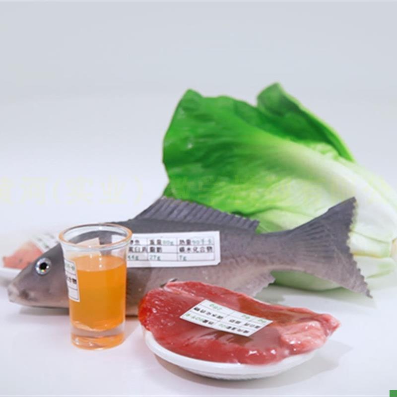 2022仿真食品中国居民均衡营C养膳食宝塔模型新版营养食物模型 - 图2