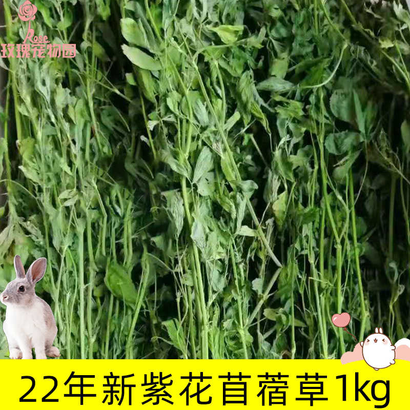 紫苜蓿草 新人首单立减十元 22年8月 淘宝海外