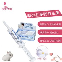 American cool to help you Magnificent Rabbit Probiotic Pet Guinea Pig Diarrhea Constipation Soft Poo Health Care Nutritional Cream 24 12