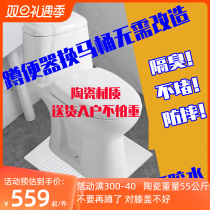 Ceramic Toilet Straight Flush Old Cell Free squat toilet squatting pan Toilet Bowl for Sitting Toilet Pregnant pregnant woman 580 Pit Distance