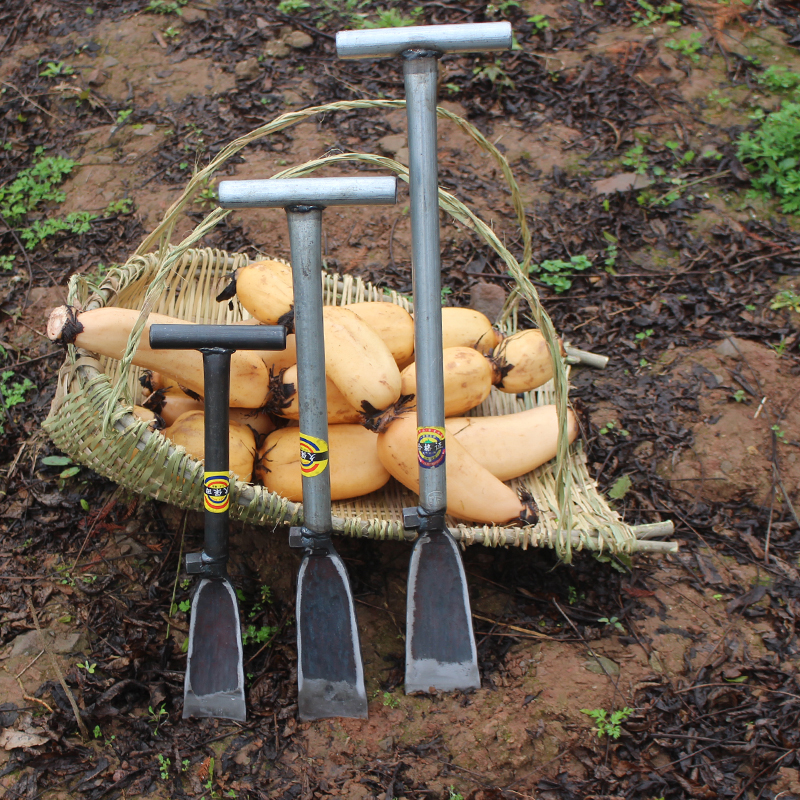 农用锰钢藕撬园林用移苗铲赶海挖野菜竹笋山药葛根铁锹挖树苗花苗 - 图2