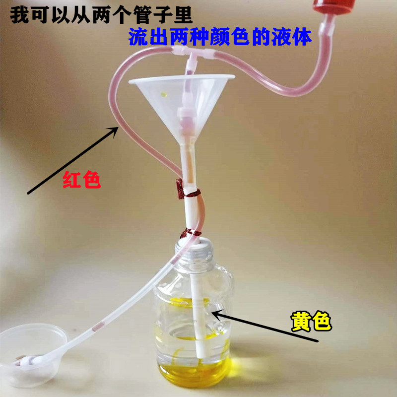 人体科学肾单位模型肾小球过滤尿液形成七年级下生物教具制作材料 - 图1