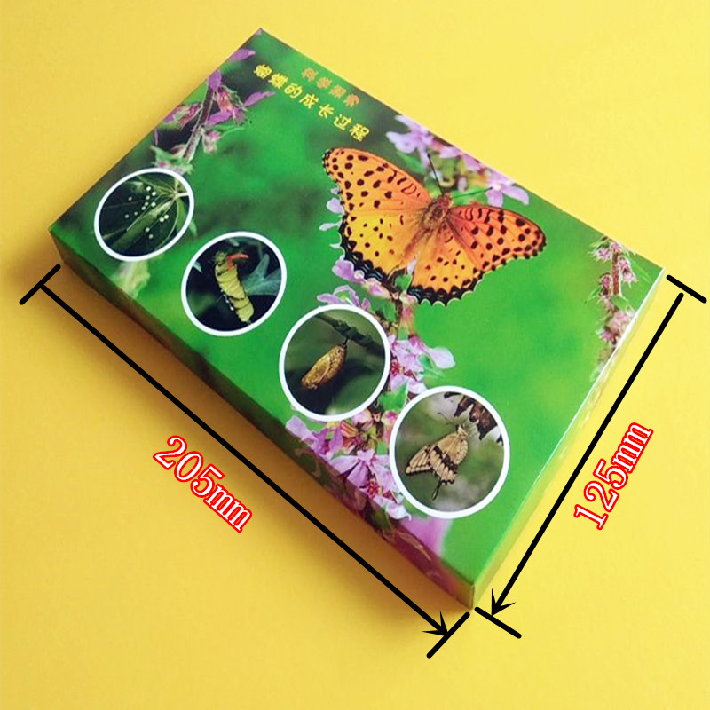 幼儿园自制趣味玩教具科学实验小制作手工材料生物学蝴蝶成长过程