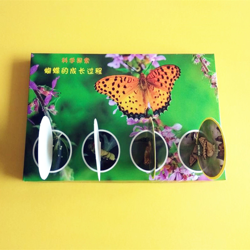 幼儿园自制趣味玩教具科学实验小制作手工材料生物学蝴蝶成长过程