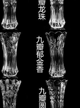 新款透明玻璃花瓶水培富贵竹简约