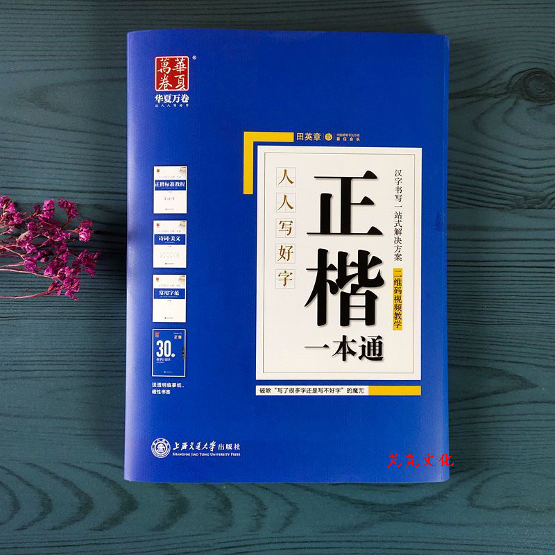 田英章书楷书字帖正楷一本通硬笔书法练字初学者成人学生钢笔字帖,淘宝优惠券,粉丝福利购,淘宝优惠卷