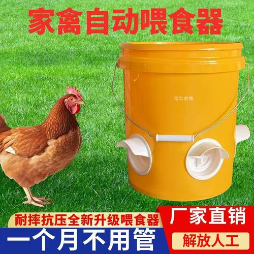 家禽自动喂食器喂鸡食槽芦丁鸡饲料桶饮水器小鸡鸭鹅自动喂鸡神器 - 图0
