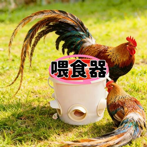 家禽自动喂食器喂鸡食槽芦丁鸡饲料桶饮水器小鸡鸭鹅自动喂鸡神器 - 图3