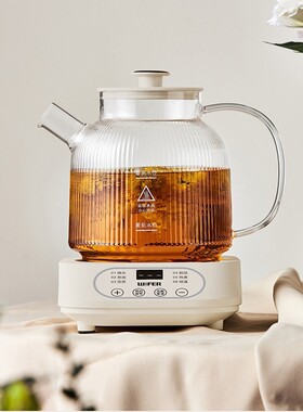 新款养生煎药壶烧水壶煮茶器烧水