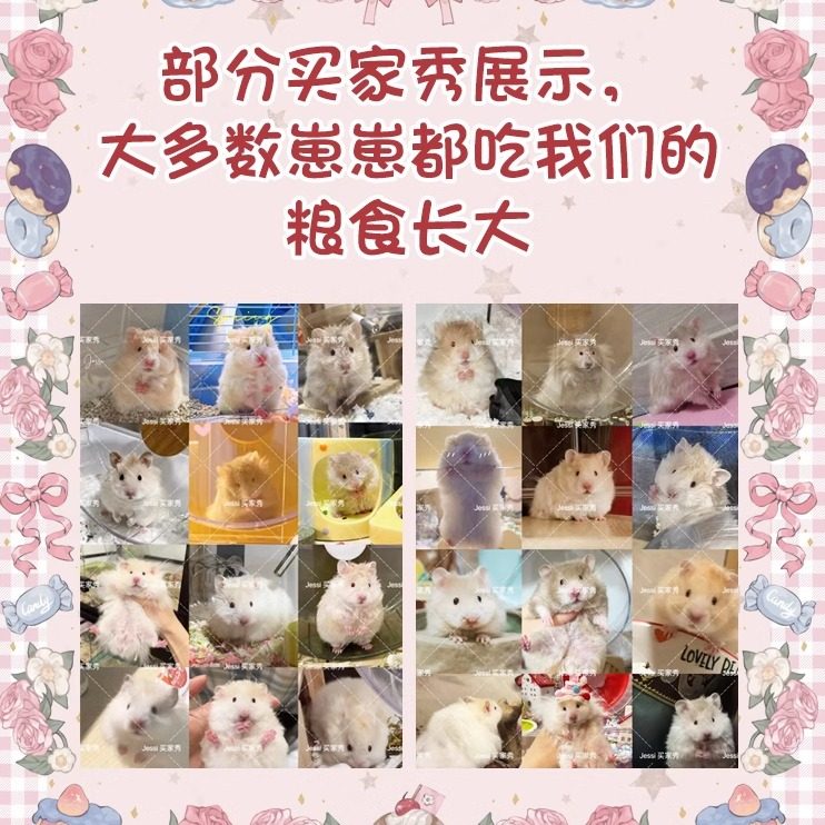 【DKJESSI】jessi杰希熊粮鼠粮配方德系金丝熊粮营养增肥仓鼠粮食,淘宝优惠券,粉丝福利购,淘宝优惠卷