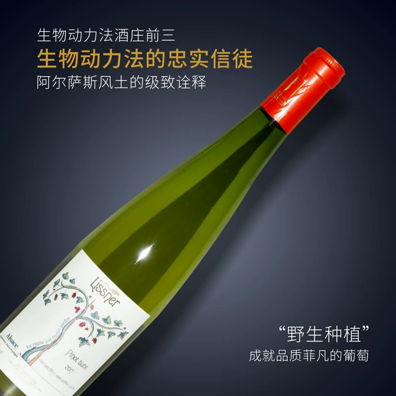 Ling Si Ganbai 2017 | Alsace Natural Wine Representative