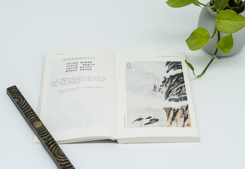 杜诗画意 杜甫诗歌集+陆俨少绘图+仇兆鳌注 诗画合一名家诗词大师插图中国古诗词鉴赏附简体注释画集高清正版 陆俨少诗文题跋集,淘宝优惠券,粉丝福利购,淘宝优惠卷