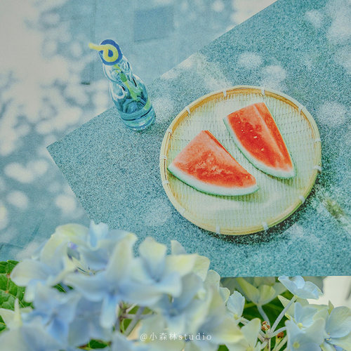 夏了夏天 摄影师@小森林studio28张记录安静 绿色自然夏季景象摄影作品集 清凉幽静出类艺术明信片创意唯美风景文艺插画集文创 - 图0