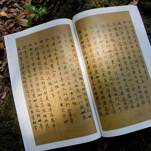 金刚经敦煌写本 中国碑帖集珍 精选历代名碑名帖原色精印原大呈现繁体释文临习要点 楷书毛笔书法字帖书法爱好者临摹鉴赏正版书籍 - 图0