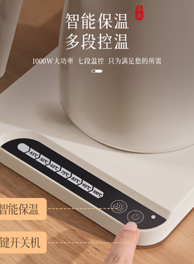 【智能温控】烧水壶泡茶专用