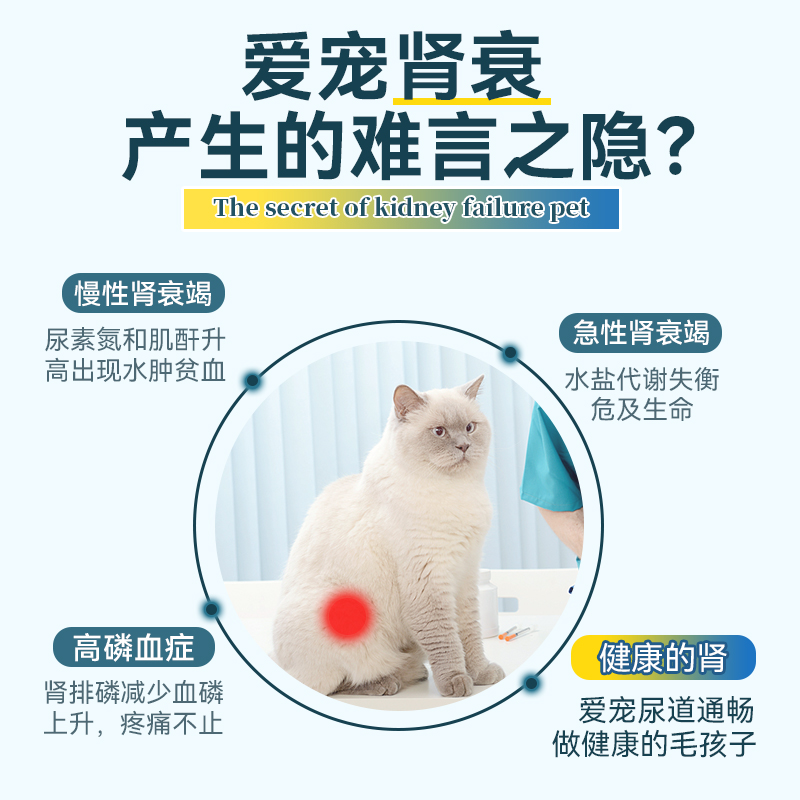 奥萨ASAP宠肾宝宠物猫狗慢性肾衰竭急性肾炎尿频尿急结石保护肾脏 - 图1