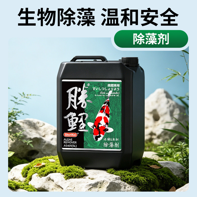 图5