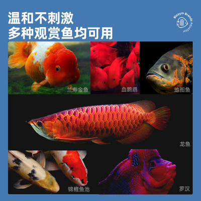 百因美3价黄液水族不伤鱼不适调理烂身烂尾鹦鹉锦鲤观赏鱼非鱼药 虎窝淘