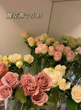醒花桶透明大号亚克力垃圾桶