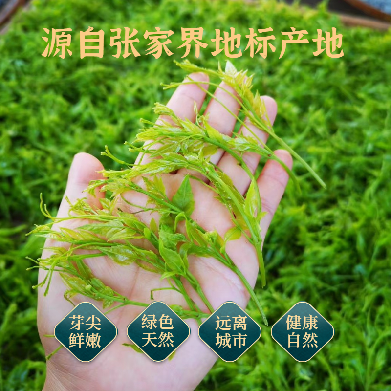 金鞭溪张家界芽尖莓茶 景区超市同款 龙须嫩芽霉茶正宗长寿村藤茶 - 图2