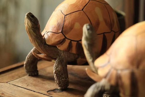 安哥洛卡陆龟模型博物志工作室出品爬宠模型 原创手工制作手办 - 图3