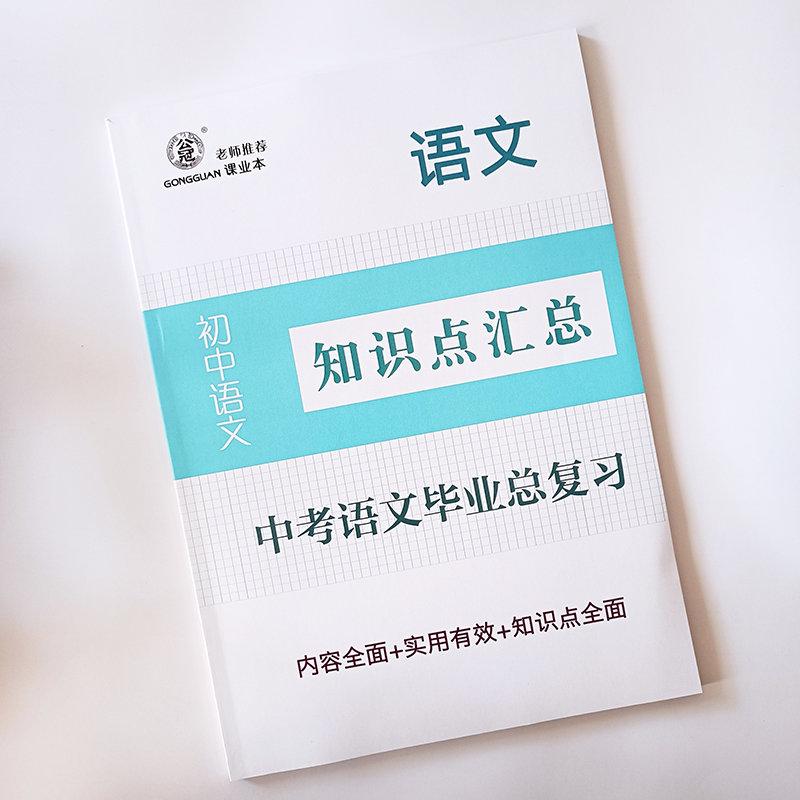 中学语文毕业总复习中考语文知识点汇总毕业总复习初中语文知识点总复习练习单元期末总复习专项训练 - 图2