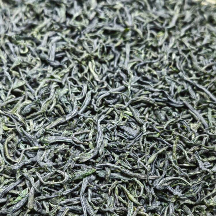 2026新茶明前屏山炒青绿茶四川宜宾早茶屏山茶叶浓香耐泡栗香250g