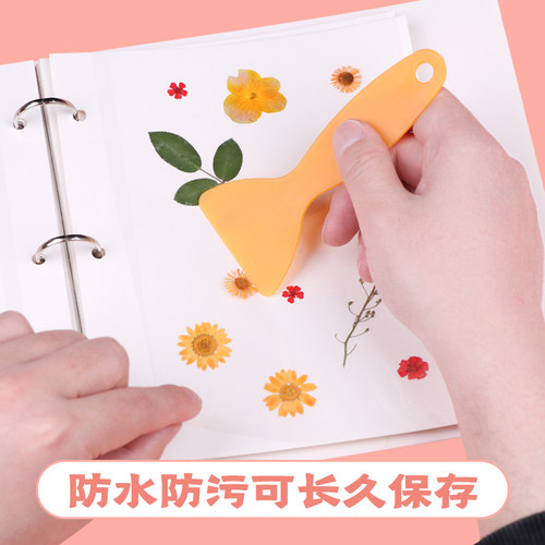 植物标本收集册树叶干花压花叶子标本册活页卡册多功能学生覆膜diy粘贴式相册创意手工制作自粘收纳本收藏册 - 图1