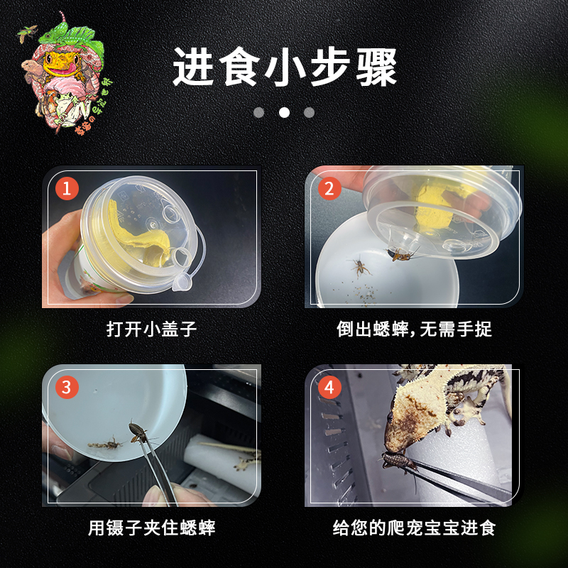 奶茶杯装白蟋蟀活物油葫芦蛐蛐蜥蜴守宫蜥蜴龟蛙爬宠活体饲料食物 - 图1