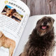 Genuine books Illustrated guide to famous pet dog breeds Pet book Dog raising guide Complete guide to choosing a dog and raising a dog Pet dog breeding and feeding guide manual Pet dog breed list Pet dog illustrated guide Dog raising book Dog encyclopedia