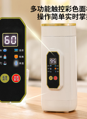 电热水杯可调温便携烧水杯烧水壶