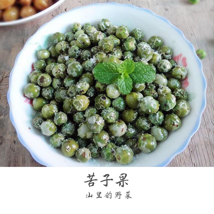 云南ye菜ye果苦子果傣味小苦果苦茄苦凉小圆茄青茄蘸料油炸1000g-图0