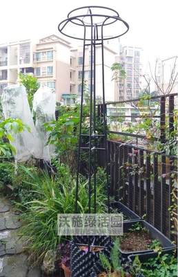 户外植物爬藤架园艺阳台花架庭院花园伞型攀爬月季花架铁线莲铁艺 虎窝淘